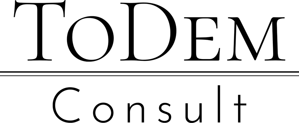 ToDem Consulting